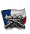 Texan Arms Families icon