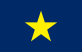 Provisional Republic of Texas default Flag and Option A - "Let's use the first flag nobody remembers."