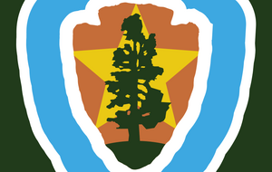 Flag of the Republic of Steam. Inspired by the flag of the United States National Park Service. The flag is a black background. On top is a light blue shield emblem outlined in white. Inside of this shield is an orange field with a gold star. On top of the gold star is a lone pine tree in dark green growing out of the Earth in the same dark green.