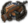 Generic regular firearms focus.png